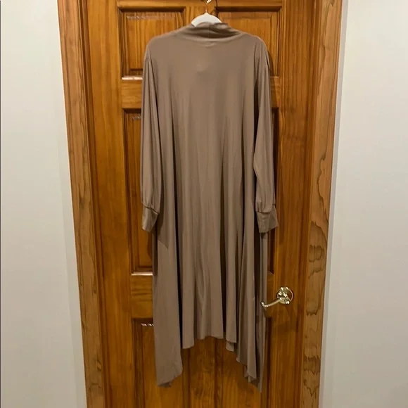 Elegant Taupe Button-Down Dress - Picture 3 of 4